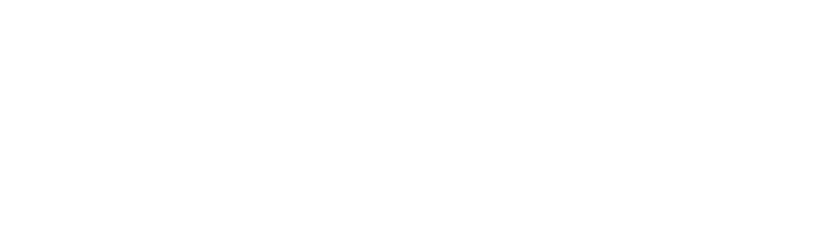 MEG Logo