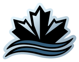 Canadian Liners icon